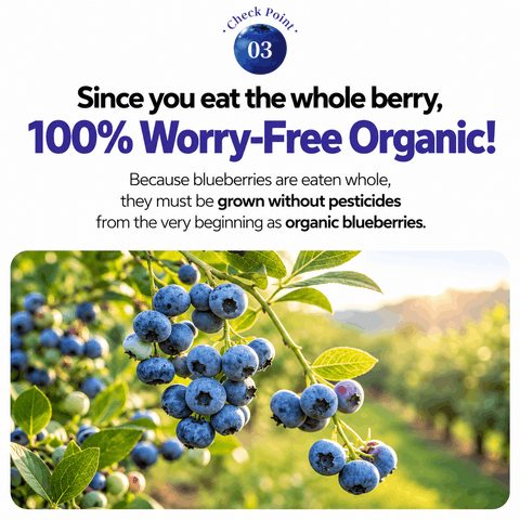 Malgeun Farm Organic Blueberry Puree Sticks  20ml x 14 Packets