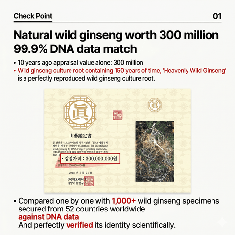 CHUNSAMJUNG Wild Ginseng Root Extract Stick 600g