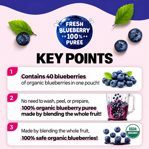 Malgeun Farm Organic Blueberry Puree Sticks  20ml x 14 Packets