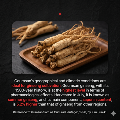 GEUMSAN GINSENG Samjiwon Chim Hyang-Hwan: Premium Korean Red Ginseng & Agarwood Pill