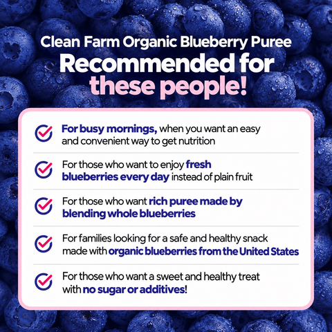 Malgeun Farm Organic Blueberry Puree Sticks  20ml x 14 Packets