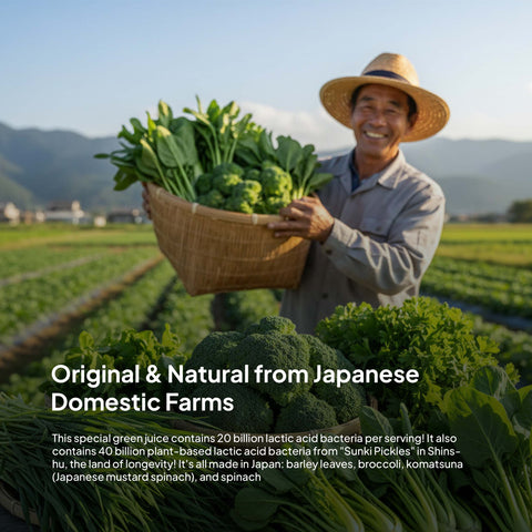 VegePresso Aojiru Japanese 20 Billion Probiotic Green Juice (3g x 20pcs) / 日本産青汁乳酸菌（箱入) Japan Halal Certified