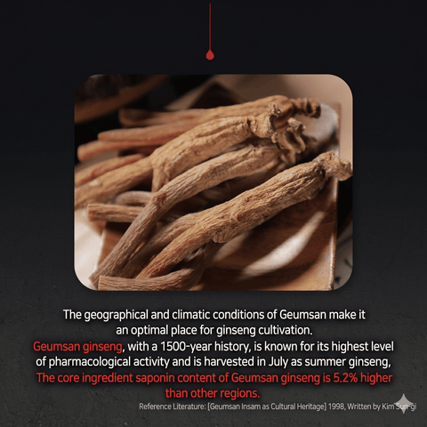 GEUMSAN GINSENG 6-Year-Old Goryeo Red Ginseng Extract Special 70ml x 30PCS