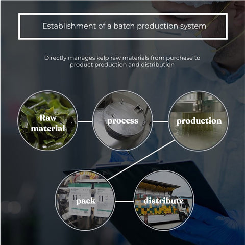 [BUY 10 GET 5 FREE] Haechomiin Korean Seaweed & Kelp Noodle with Bibim Sauce