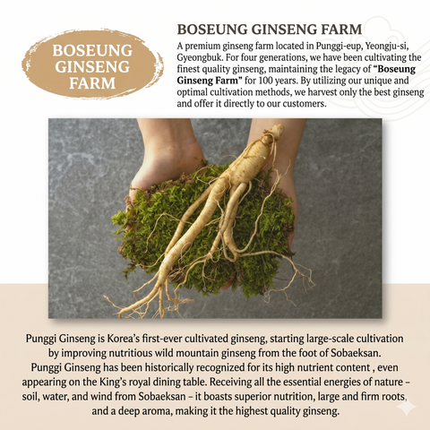 BOSEUNG INSAMSA Deep Red Ginseng Drink 100mg | Healthy Energy Boost | 3 Packs