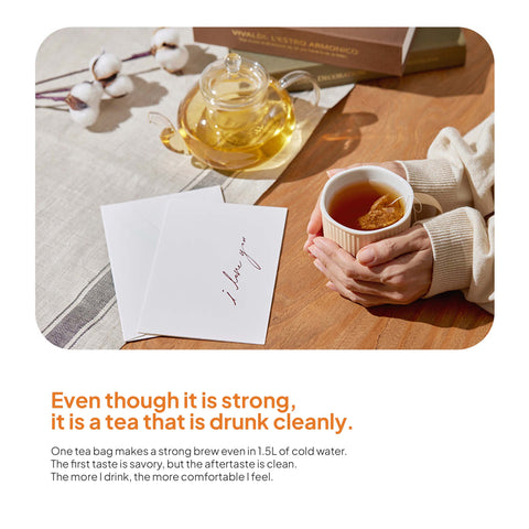 Pre:tea 100% Pumpkin Herbal Tea 20pcs x 1.5g / 프리티 호박수 호박차