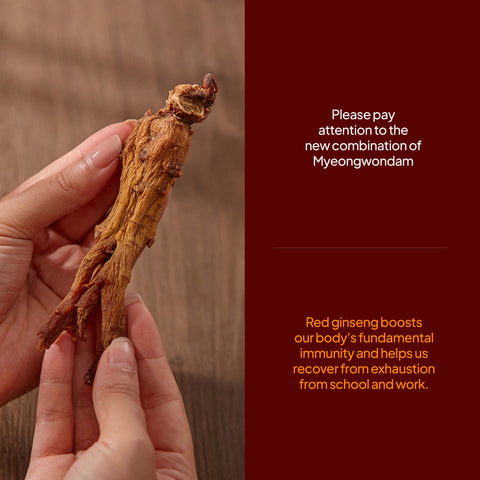 Inner Beauty Korean Red Ginseng Pomegranate Collagen Jelly Stick (20g x 14) /홍삼 석류 콜라겐 젤리스틱