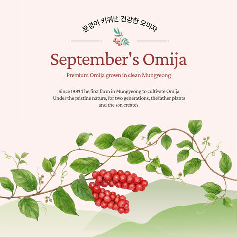 Mungyeong September Omija Juice Zero Sugar 110ml x 20pcs / 9월의 오미자