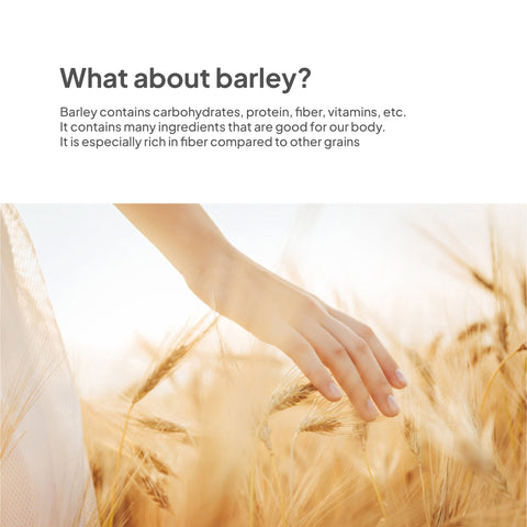 Korean Organic Barley Tea Drink 500ml x 20 pcs/ 맑은농장 유기농 진한 보리차