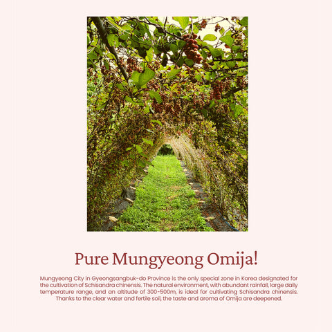 Mungyeong September Omija Juice Zero Sugar 110ml x 20pcs / 9월의 오미자
