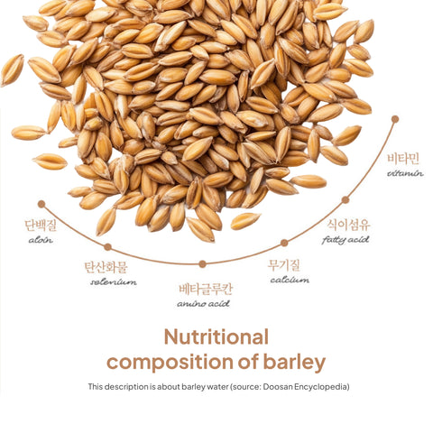 Korean Organic Barley Tea Drink 500ml x 20 pcs/ 맑은농장 유기농 진한 보리차