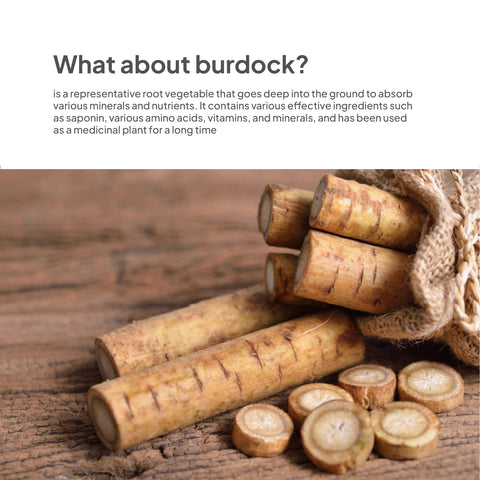 Korean Organic Burdock Tea Drink 500ml x 20pcs / 맑은농장 유기농 진한 우엉차