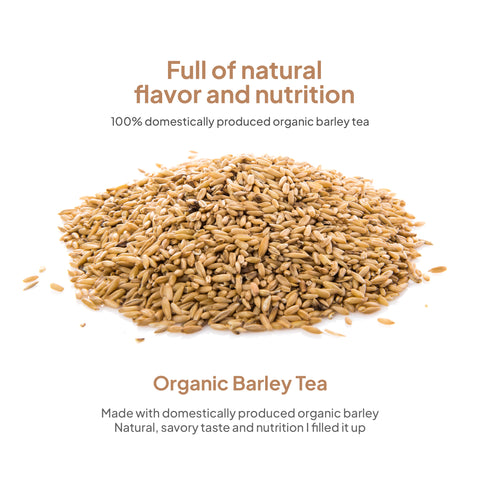 Korean Organic Barley Tea Drink 500ml x 20 pcs/ 맑은농장 유기농 진한 보리차