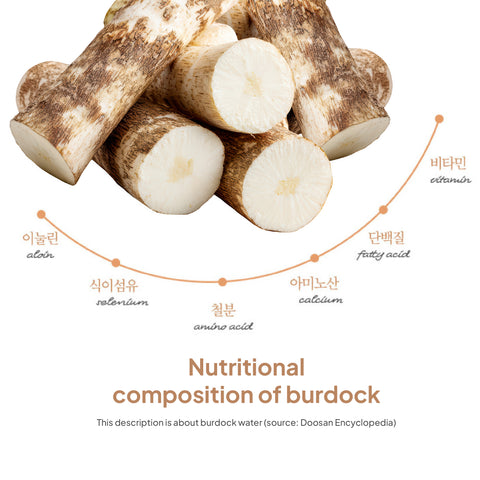 Korean Organic Burdock Tea Drink 500ml x 20pcs / 맑은농장 유기농 진한 우엉차